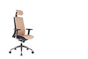 Bürosit Apsis — görünüm 27