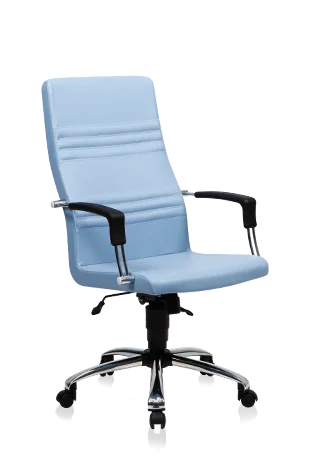 Bürosit Dolphin — görünüm 8