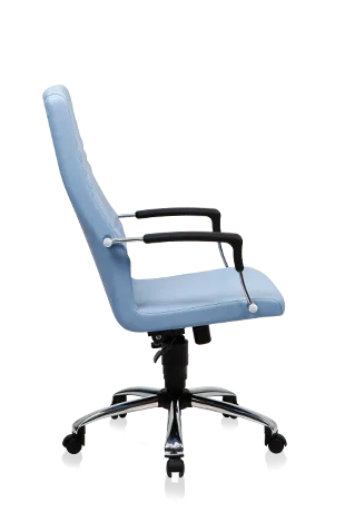 Bürosit Dolphin — görünüm 9