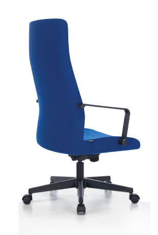 Bürosit Dorado — view 9