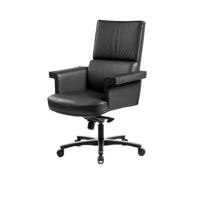 Bürosit Elegant — görünüm 3