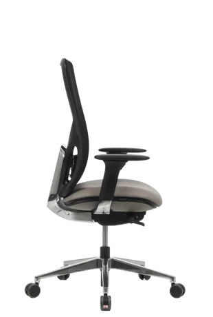 Bürosit Eman — görünüm 17