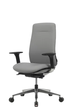 Bürosit Eman — görünüm 33