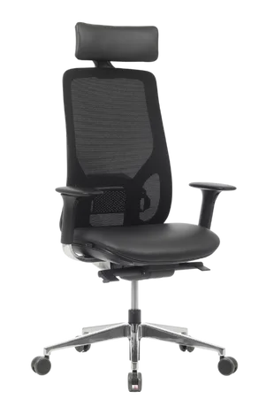 Bürosit Eman — görünüm 9