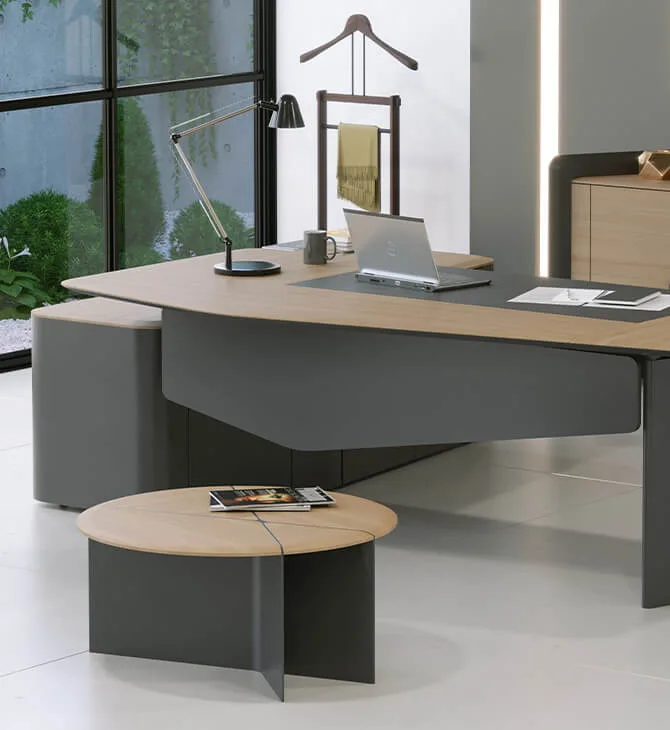 Bürosit Penta — görünüm 3
