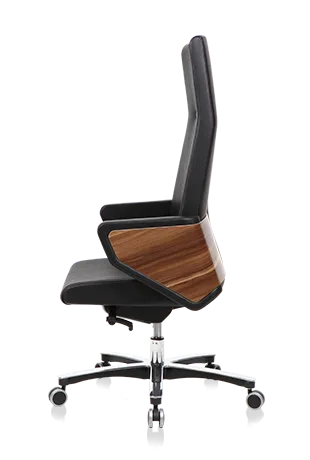 Bürosit Throne — görünüm 9