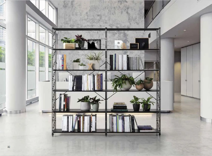 Caimi Socrate — Bookshelves