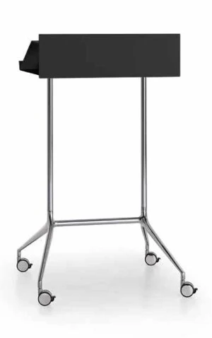 Caimi Speech Lern — görünüm 2