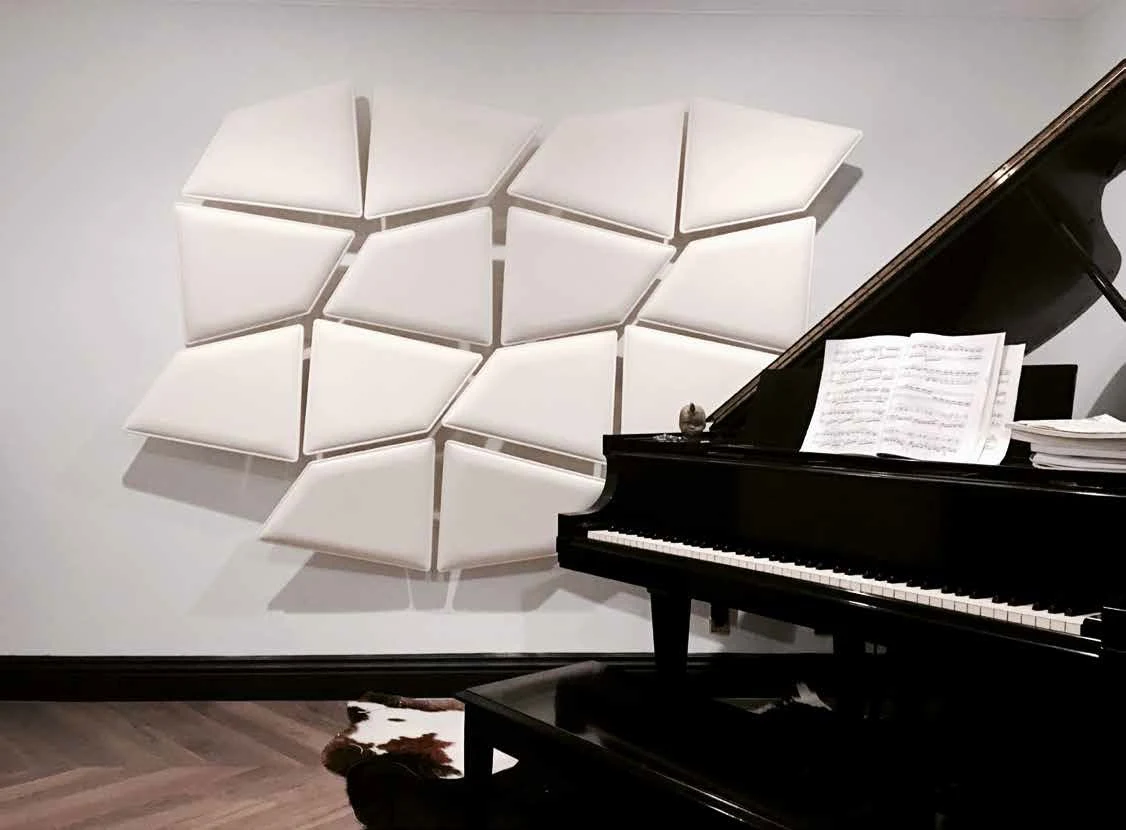 Caimi Flap — Acoustic Solutions