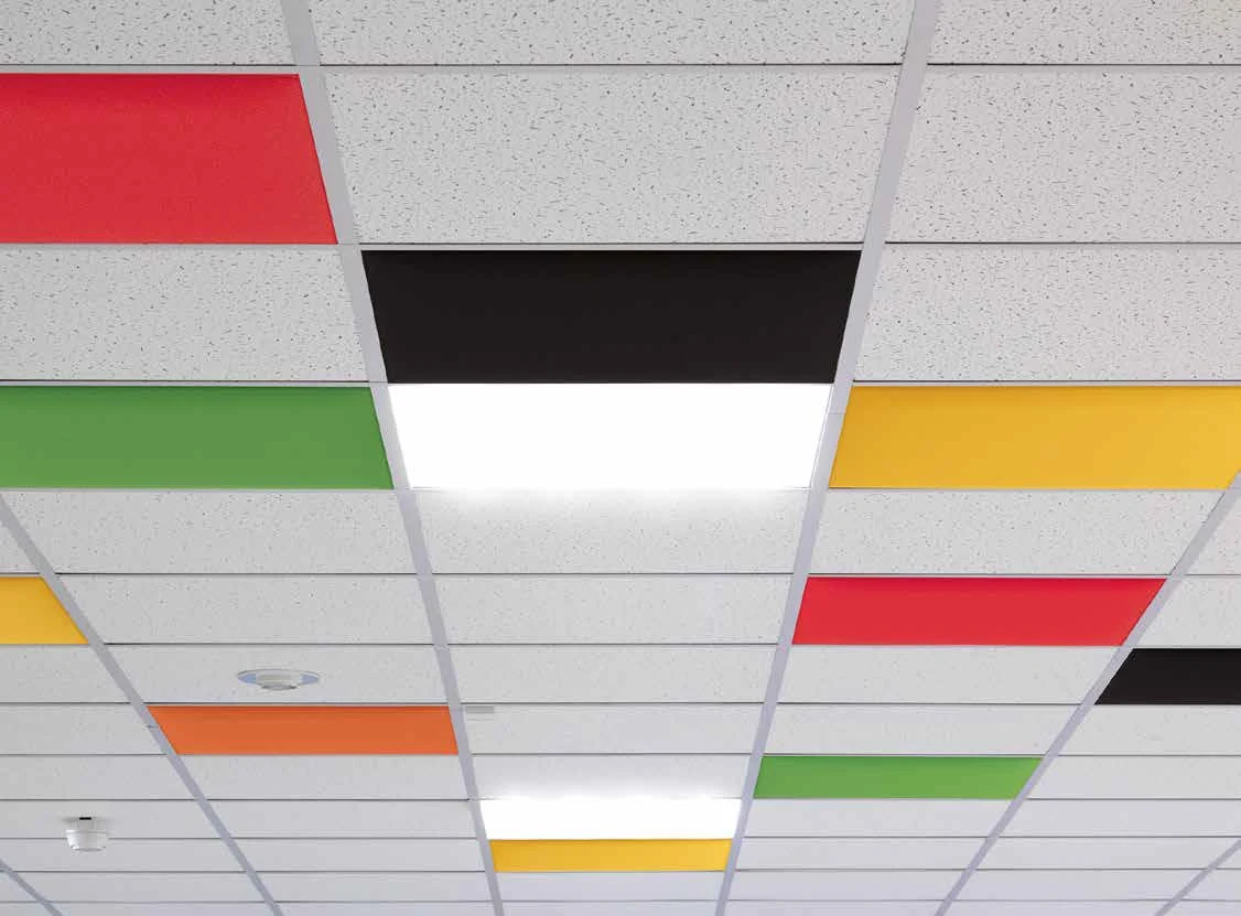 Caimi In — Acoustic Solutions