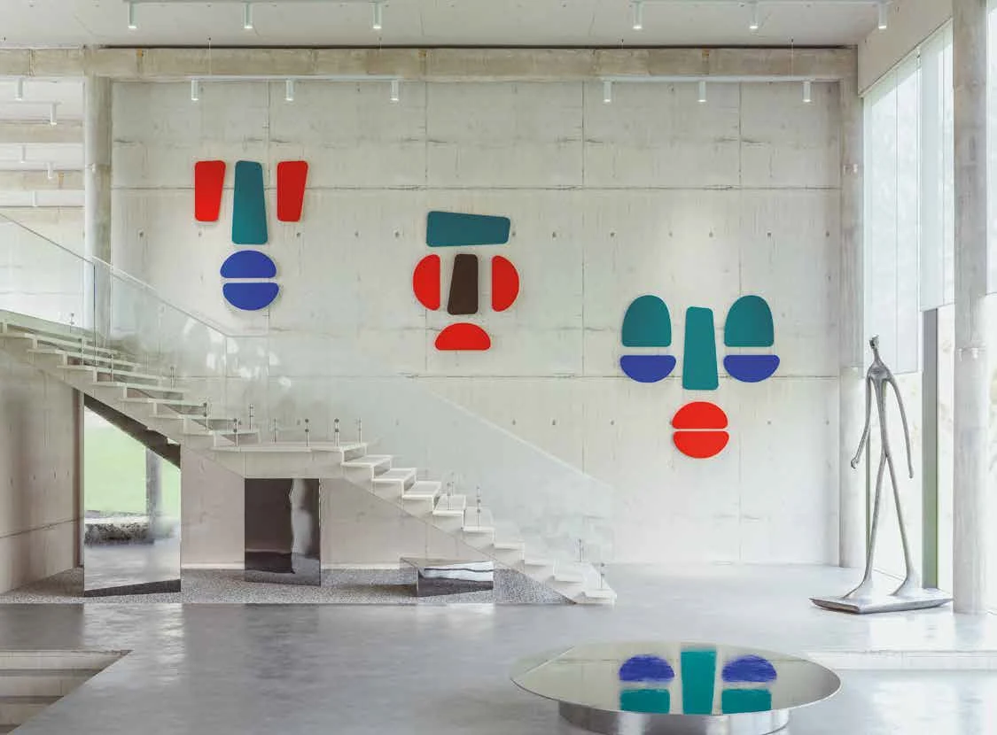 Caimi Tribu — Acoustic Solutions