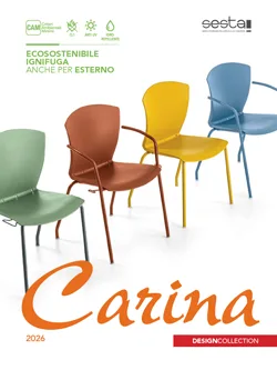 Sesta Carina — view 20