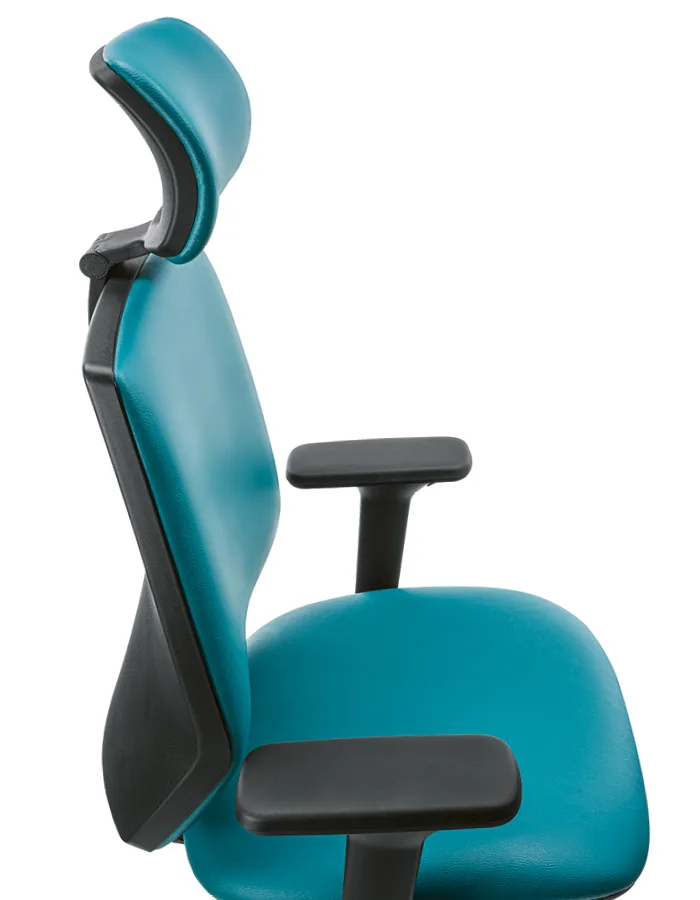 Sesta Cobra TT — view 8