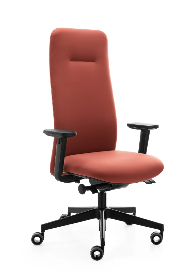 Sesta Ike — Executive Chairs