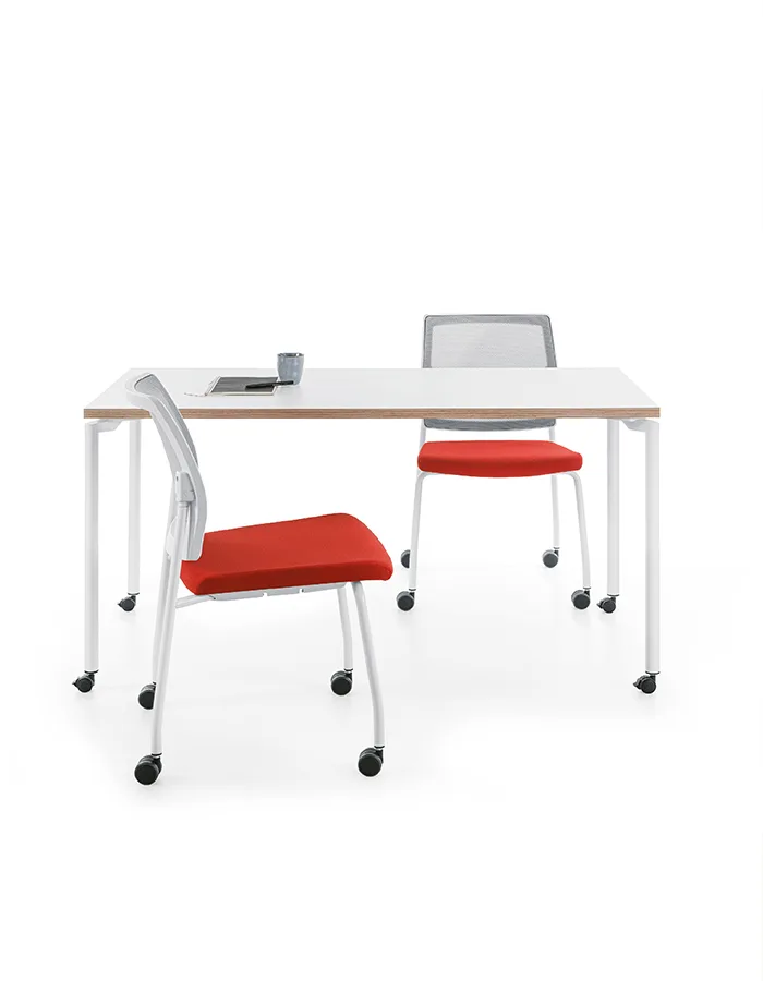 Sesta L4 — view 11