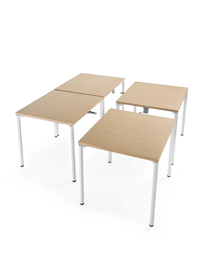 Sesta L4 — view 13