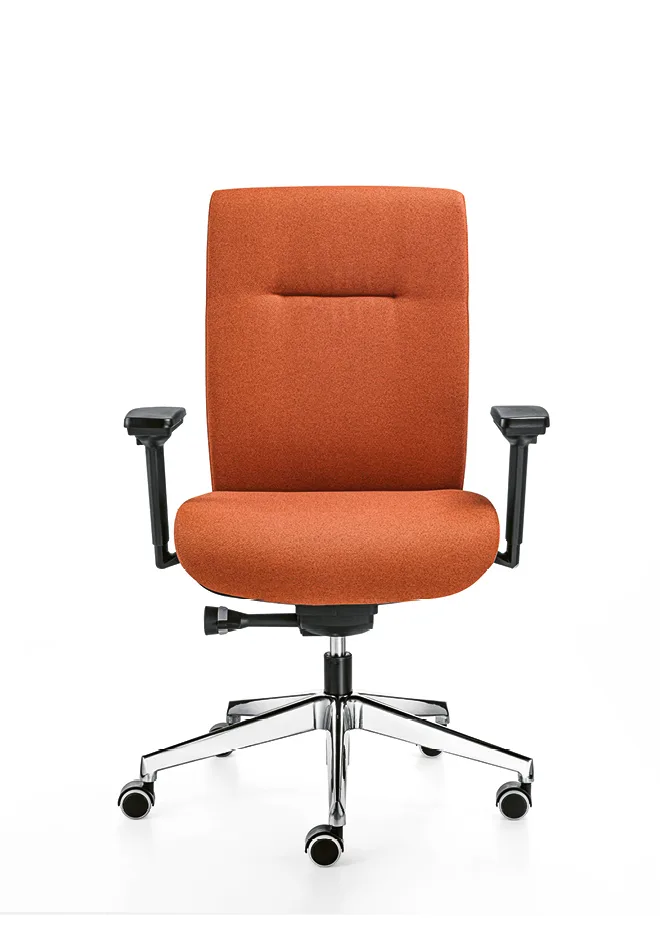 Sesta Master — görünüm 3