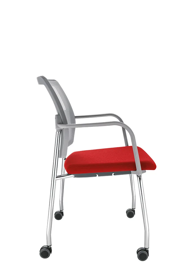 Sesta Q-44 XL — view 5