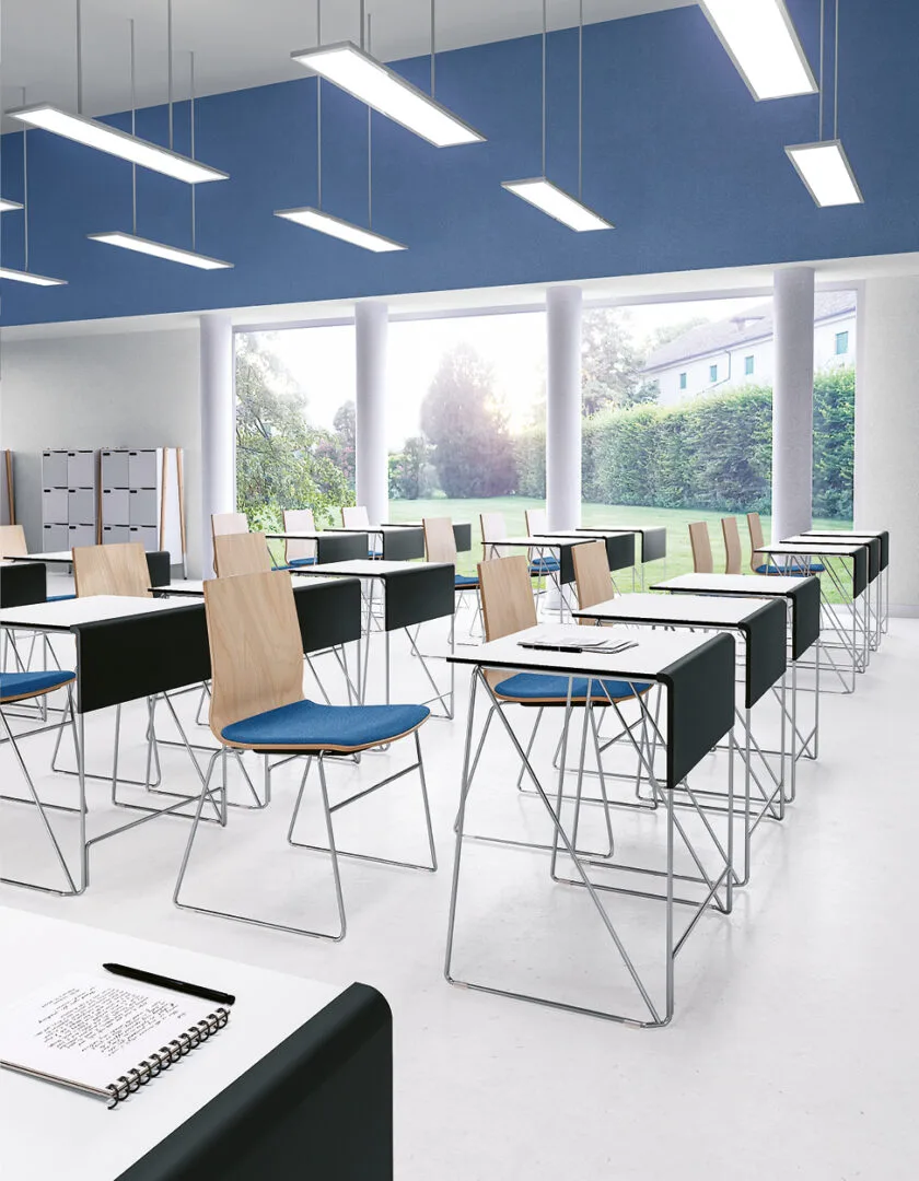 Sesta Q2 Training — view 17